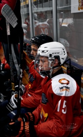 Хоккейный матч