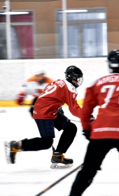 Хоккейный матч