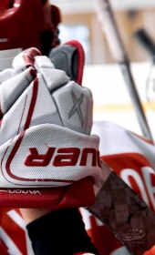 Хоккейный матч