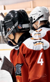 Хоккейный матч