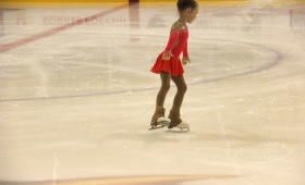 Крылья Весны