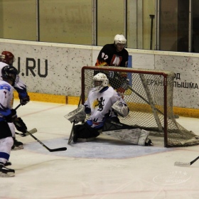 Турнир Чемпионов ГО Верхняя Пышма