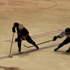 Турнир Чемпионов ГО Верхняя Пышма