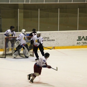 Турнир Чемпионов ГО Верхняя Пышма