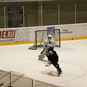 Турнир Чемпионов ГО Верхняя Пышма