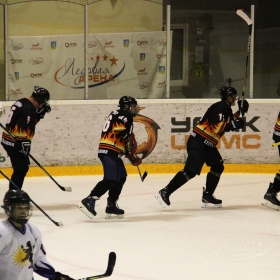 Турнир Чемпионов ГО Верхняя Пышма