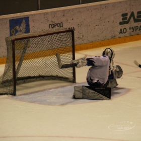 Турнир Чемпионов ГО Верхняя Пышма