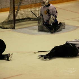 Турнир Чемпионов ГО Верхняя Пышма