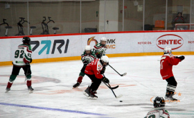 Металлург-09 - Малахит-09