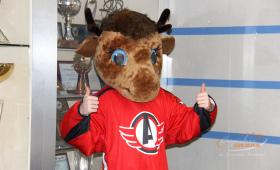 Символ хоккейной команды СШ