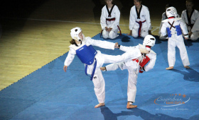 Выступление спортсменов по тхэквондо (СШ Лидер)