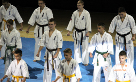 Выступление каратистов