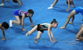 Отделение спортивной акробатики СШ им.Александра Козицына