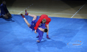 Выступления самбистов