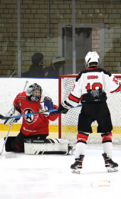 Хоккейный матч