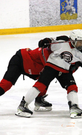 Хоккейный матч