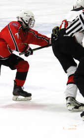 Хоккейный матч