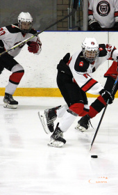 Хоккейный матч