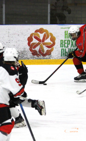 Хоккейный матч