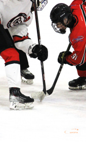 Хоккейный матч