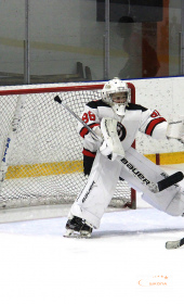 Хоккейный матч