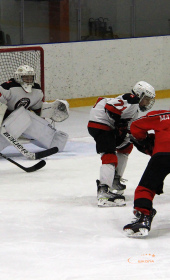 Хоккейный матч