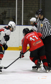 Хоккейный матч