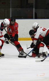 Хоккейный матч