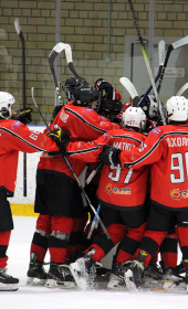 Хоккейный матч