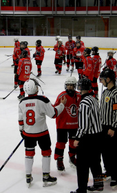 Хоккейный матч