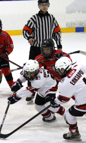 Хоккейный матч