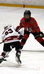 Хоккейный матч