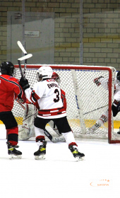 Хоккейный матч