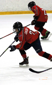 Хоккейный матч