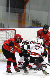 Хоккейный матч