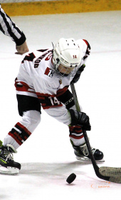 Хоккейный матч