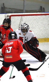 Хоккейный матч