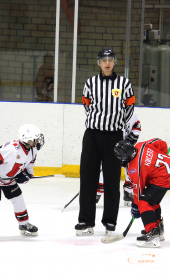 Хоккейный матч