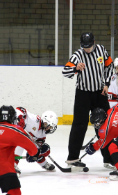 Хоккейный матч