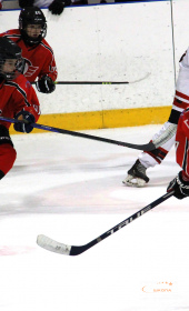 Хоккейный матч