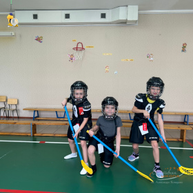 Уроки хоккея в ДС 22