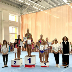 Соревнования Розовый фламинго