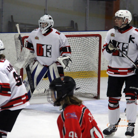 ХК «Авто – Верхняя Пышма» 2008 –  ХК «D13» 2008