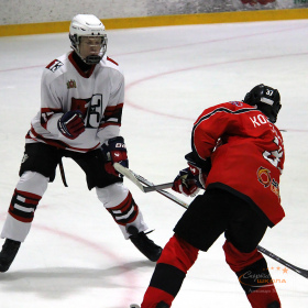 ХК «Авто – Верхняя Пышма» 2008 –  ХК «D13» 2008