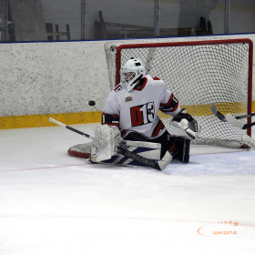 ХК «Авто – Верхняя Пышма» 2008 –  ХК «D13» 2008