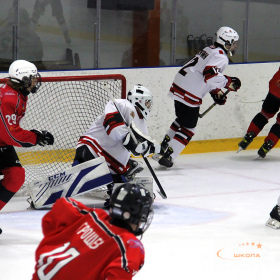 ХК «Авто – Верхняя Пышма» 2008 –  ХК «D13» 2008