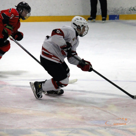 ХК «Авто – Верхняя Пышма» 2008 –  ХК «D13» 2008