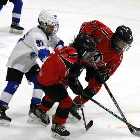 ХК «Авто – Верхняя Пышма» 2013 – ХК «Факел» 2013