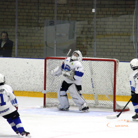 ХК «Авто – Верхняя Пышма» 2013 – ХК «Факел» 2013