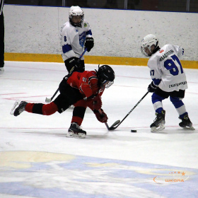 ХК «Авто – Верхняя Пышма» 2013 – ХК «Факел» 2013